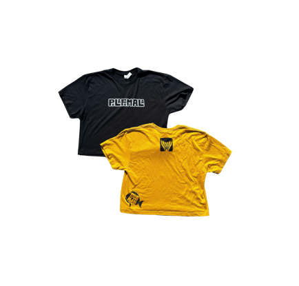 Cropped T-Shirt